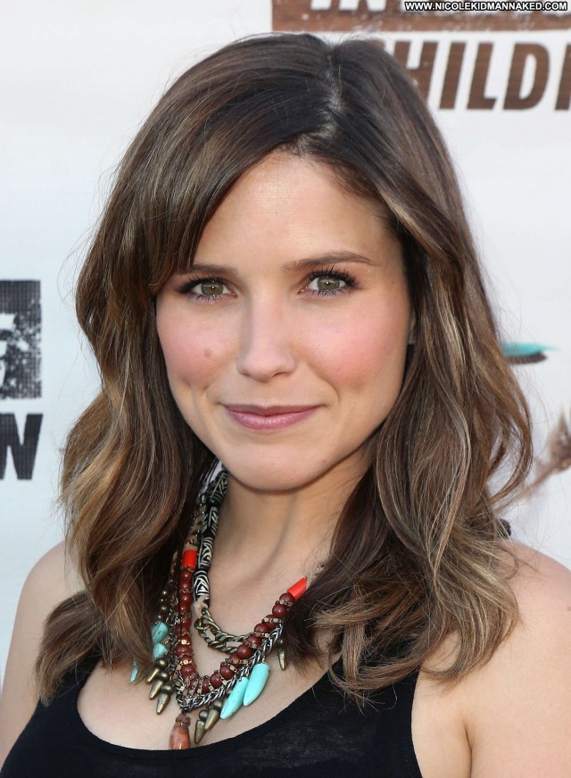 Sophia Bush No Source  Posing Hot Beautiful High Resolution Celebrity